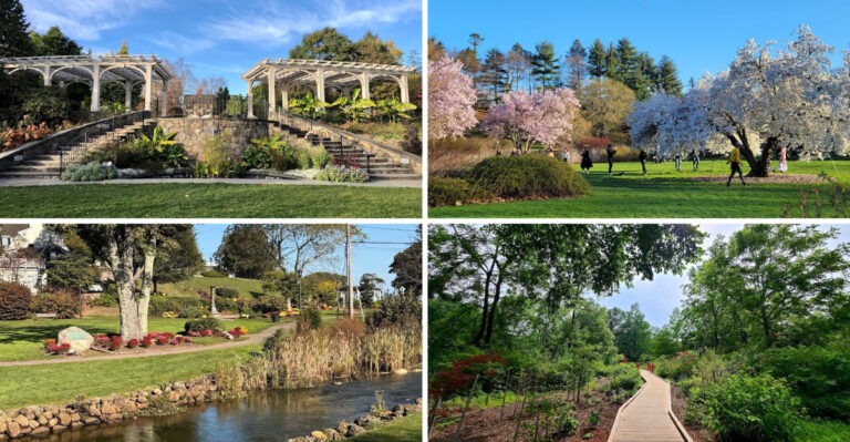 11 Gorgeous Massachusetts Gardens That Belong on Your Summer Bucket List