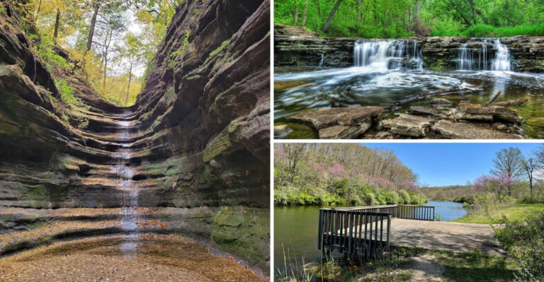 11 Illinois Parks Locals Say Are Perfect for Escaping the Crowds