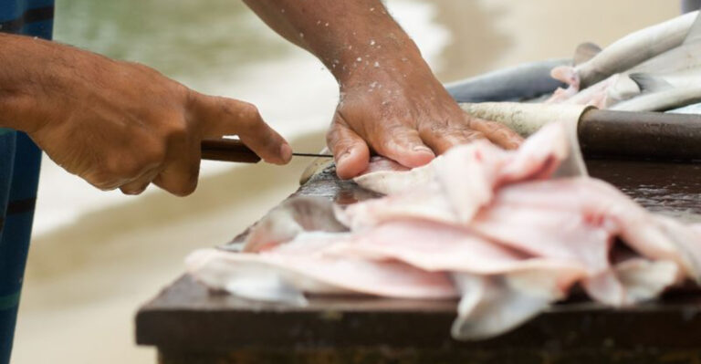 11 New Jersey Fish Markets Where the Seafood Is Almost Too Fresh to Believe
