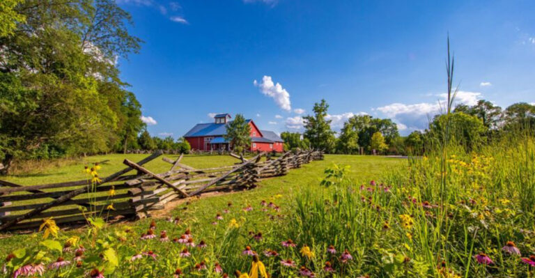 11 Ohio Heritage Farm Stops That Are Especially Charming In Summer