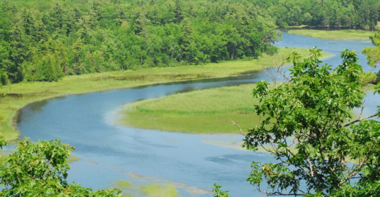 11 Powerful Michigan Rivers That Tie The Great Lakes To The Heart Of The State