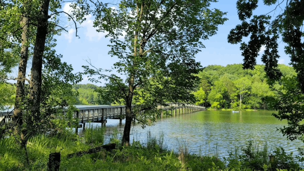 12 Beginner-Friendly Tennessee Trails That Are Calling Your Name This Year