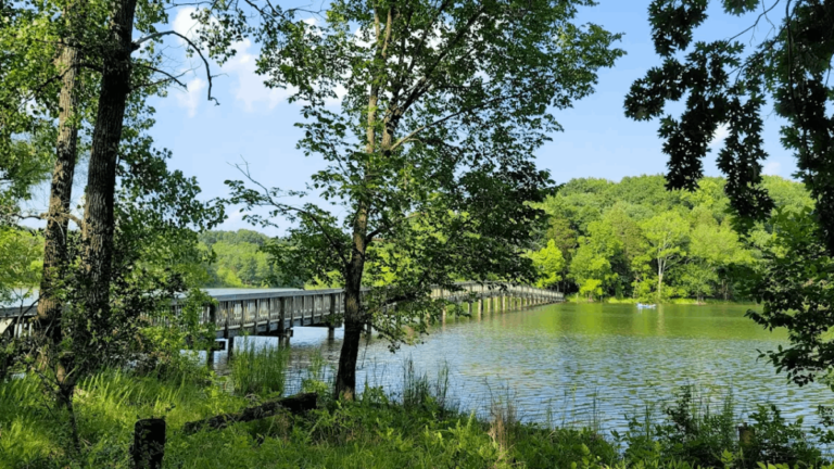 12 Beginner-Friendly Tennessee Trails That Are Calling Your Name This Year