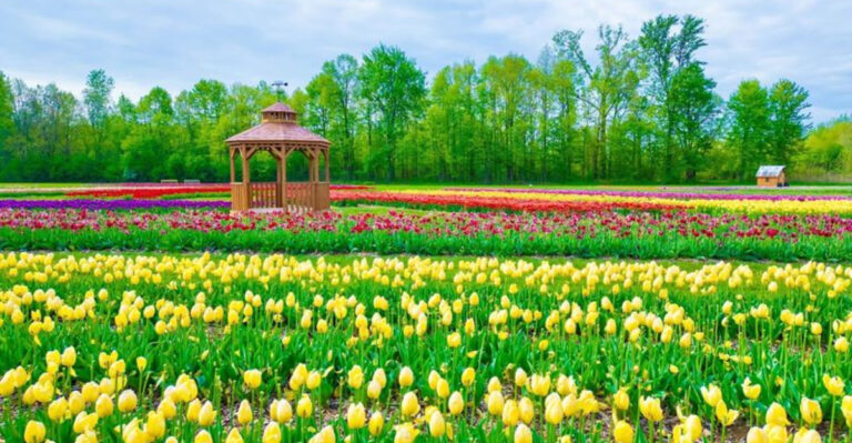 12 Michigan Farms Made For Families Who Love Animals And Fresh Air