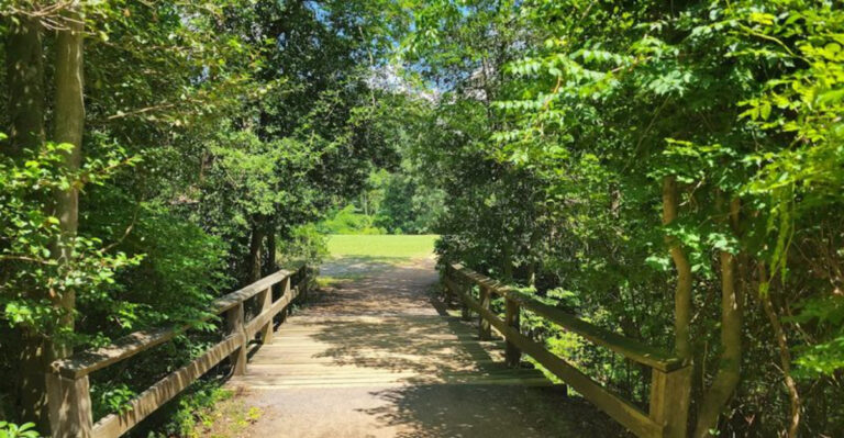 12 New Jersey Hiking Trails Under 6 Miles That Are Perfect For Beginners and Casual Hikers