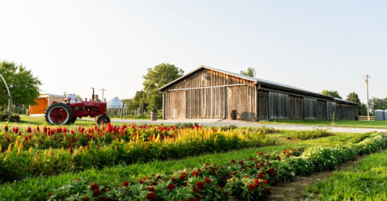 12 Ohio Fruit Farm Bakeries Perfect For Sweet Summer Getaways