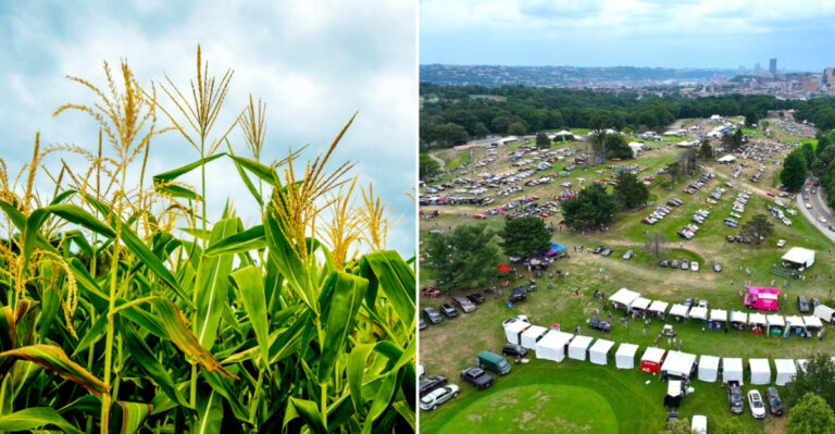 12 Pennsylvania Outdoor Festivals That Deserve A Spot On Your Summer Bucket List