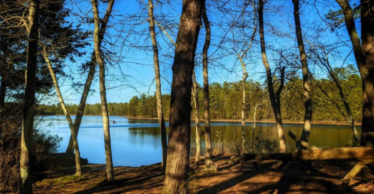 12 Secret River Trails In New Jersey Locals Don’t Want Tourists Finding