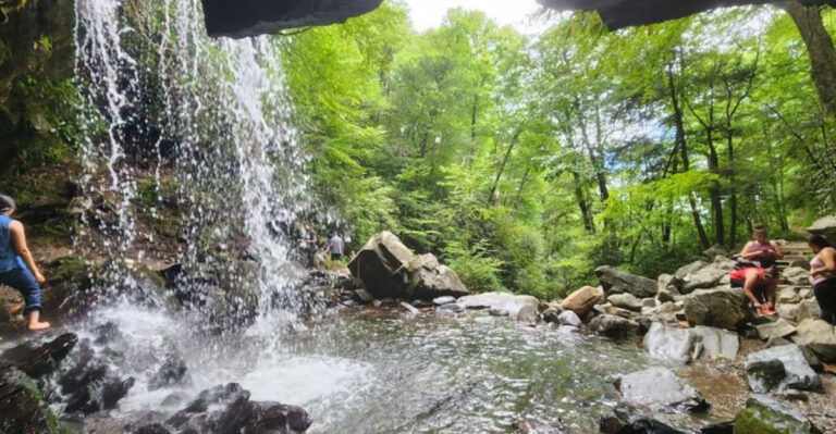 12 Unforgettable Smoky Mountains Trails Every Tennessee Nature Lover Should Experience