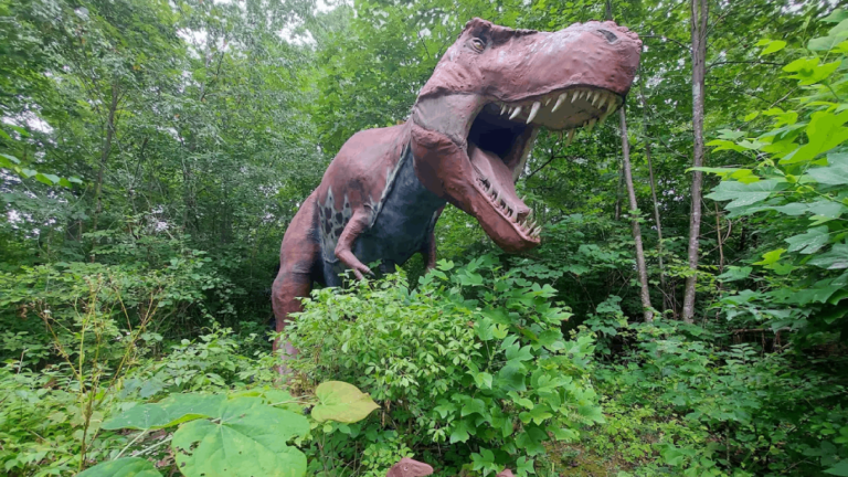 13 Best Offbeat Things To Do In Tennessee For A Trip That Feels Different