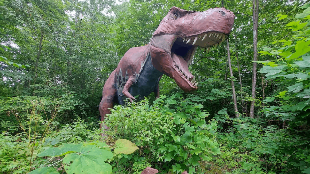 13 Best Offbeat Things To Do In Tennessee For A Trip That Feels Different