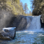 13 Breathtaking Waterfalls Tucked Away in Tennessee's Wilderness
