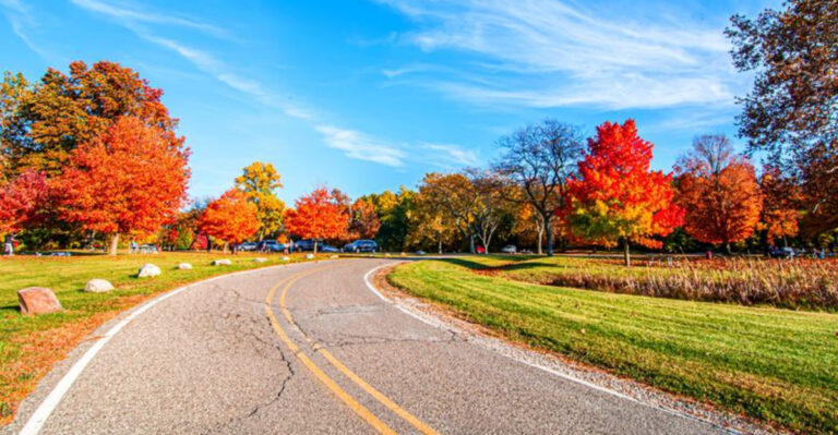 13 Dog-Friendly Michigan Spots Where Your Four-Legged Companion Is More Than Welcome