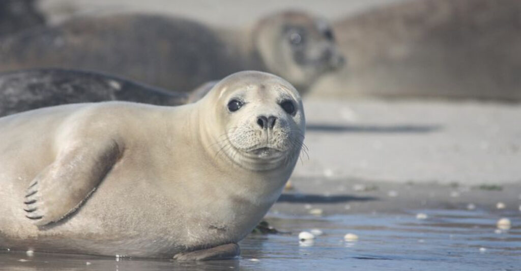 13 New Jersey Wildlife Programs That Let You Help Animals Up Close