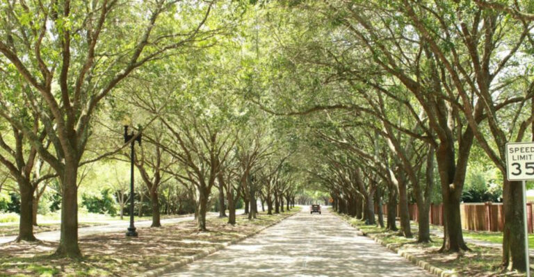 13 of the Cleanest and Most Beautiful Cities to Visit in Texas