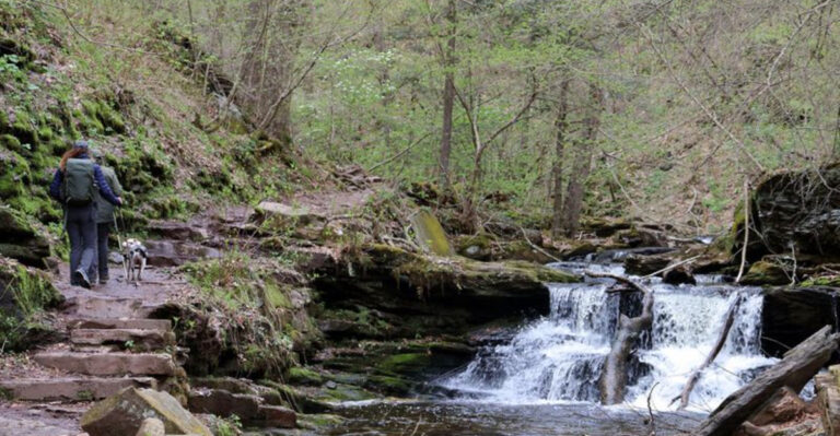 13 Pennsylvania Places That Belong on Every Nature Lover’s Bucket List