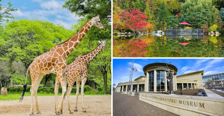 14 Illinois Day Trips From Chicago That Are Actually Worth the Drive in 2026