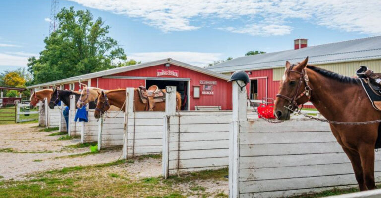 14 Largest Animal Farms In Ohio That Every Animal Lover Should Visit