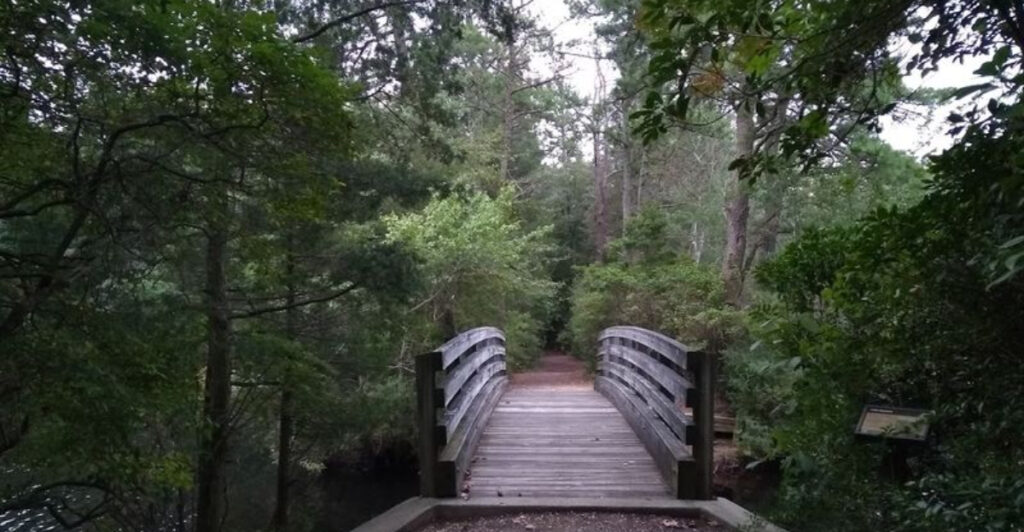 14 Secret State Parks in New Jersey That Feel Worlds Away From the Crowds
