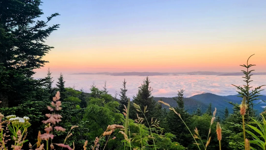 15 Tennessee Spots I'd Take Out-Of-Town Guests To See First