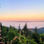15 Tennessee Spots I'd Take Out-Of-Town Guests To See First