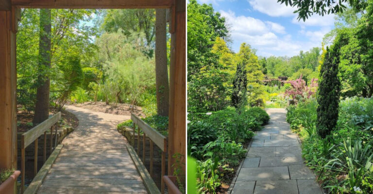 15 Pennsylvania Botanical Gardens That Feel Like a Hidden Retreat