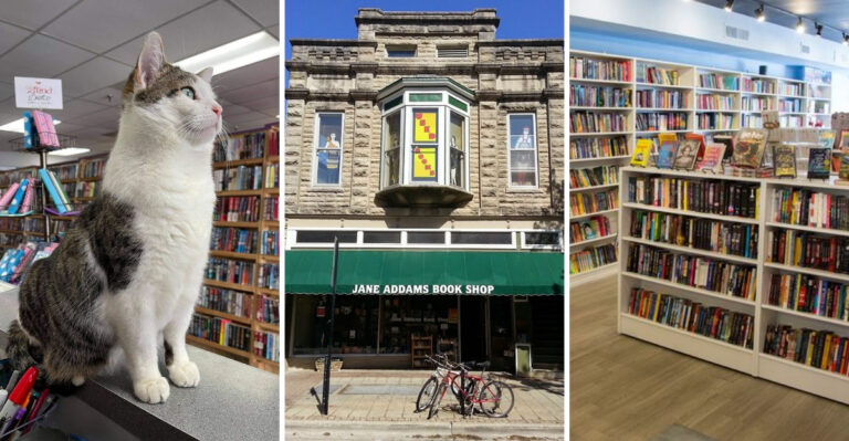16 Used Bookstores in Illinois Every Book Lover Should Visit at Least Once