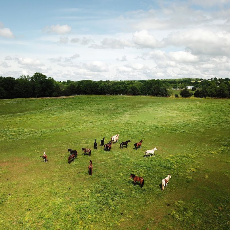 Sunshine Acres Ranch (Romance)