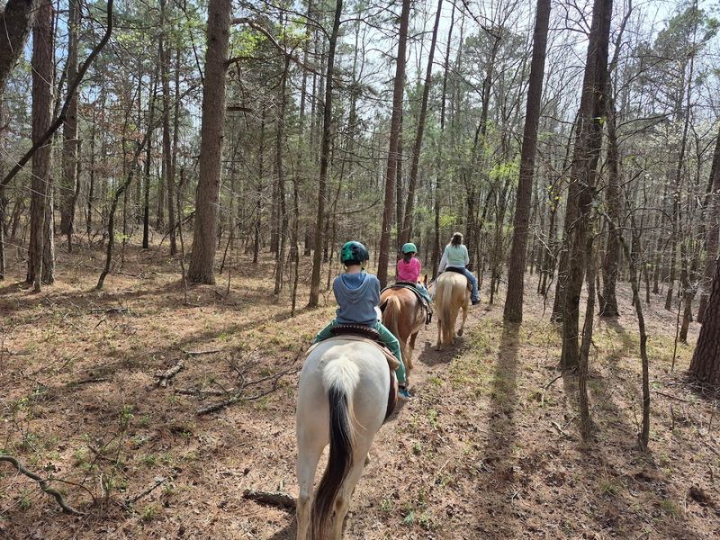 Barnyard Friends & Stables (Morrilton) 