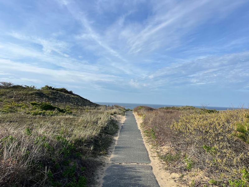 More Than a Towel Spot: Trails, Overlooks, and the Outer Cape Setting More Than a Towel Spot: Trails, Overlooks, and the Outer Cape Setting