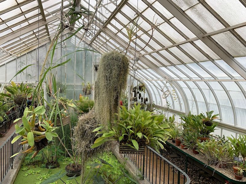Talcott Greenhouse (South Hadley) Talcott Greenhouse (South Hadley)