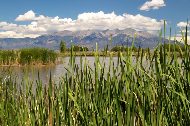 What Everyday Life Actually Looks Like in Alamosa What Everyday Life Actually Looks Like in Alamosa