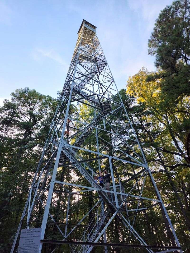 Towers, Backroads, and the Old-Rural Edge