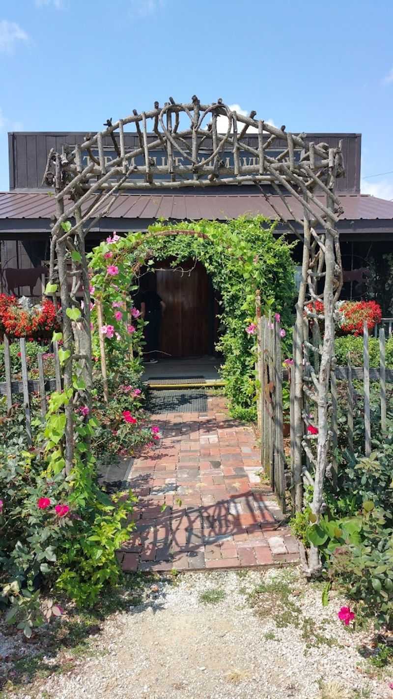 Why the Winery Feels Like Part of the Experience
