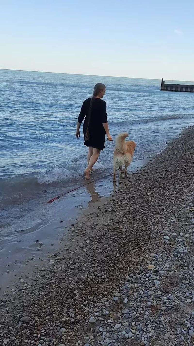 Moraine Dog Beach and Park (Highland Park)