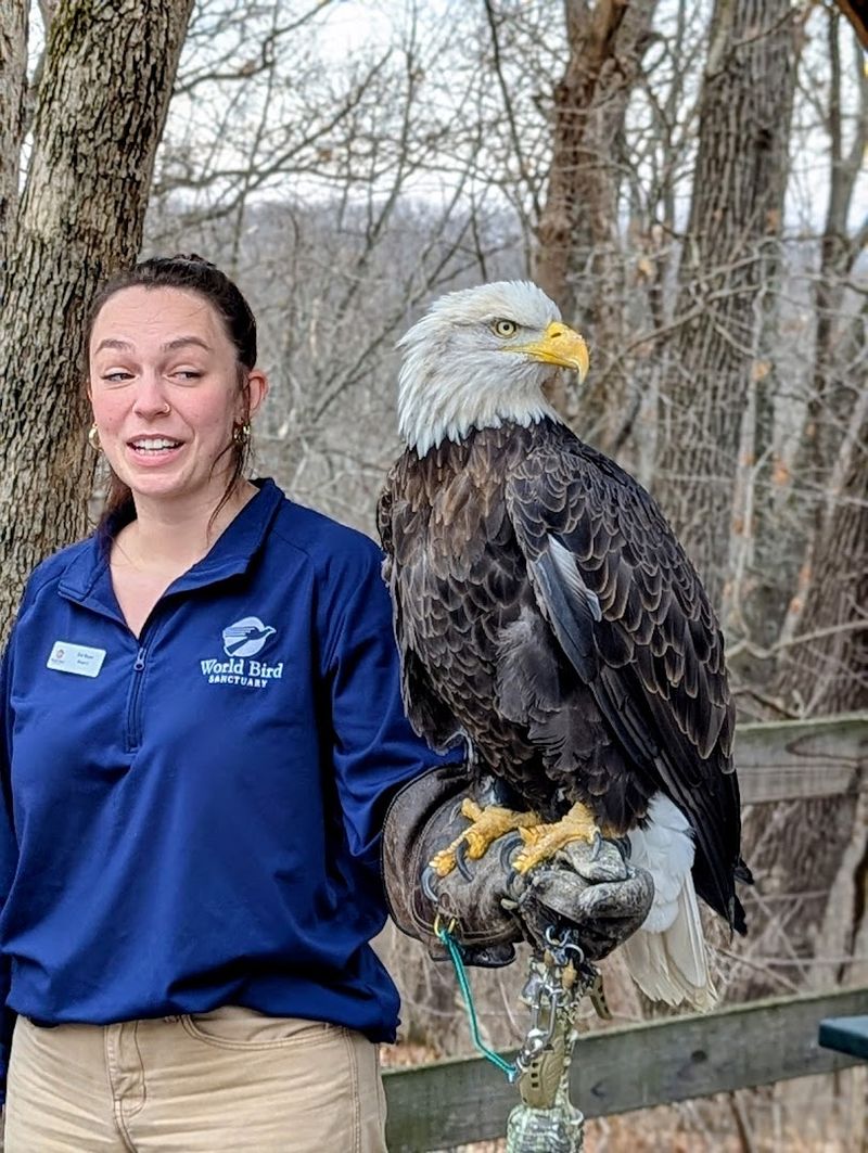 The Real Story Behind the Stares, Talons, and Giant Wings The Real Story Behind the Stares, Talons, and Giant Wings