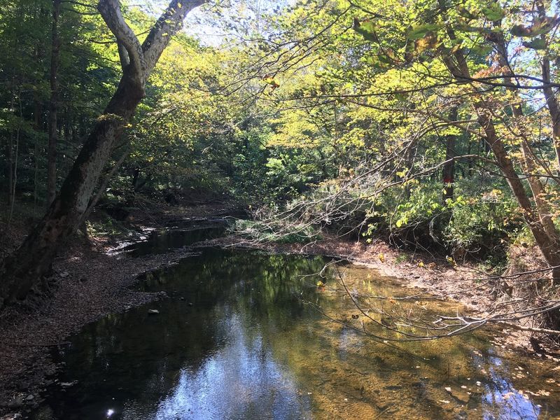 Lick Creek Adds Motion, Sound, and a Cooler Edge