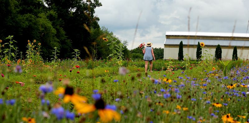 Seasonal events keep the farm feeling fresh year-round