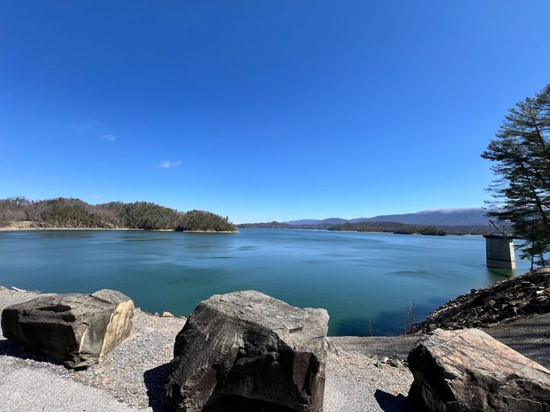 World-Class Trout Fishing Below the Dam