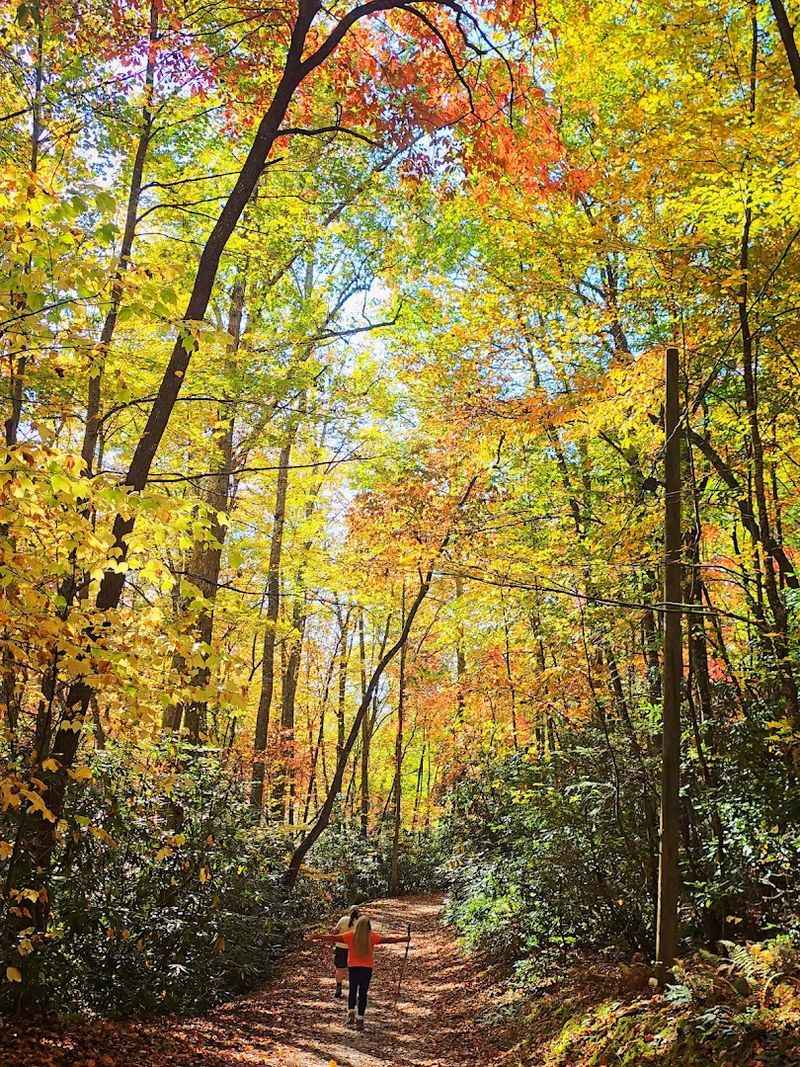 Trails That Move From Quiet Water to Stone Trails That Move From Quiet Water to Stone