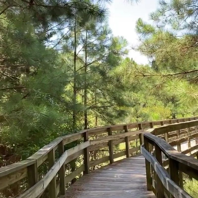 Trails, Dunes, and the Quieter Side Beyond the Sand