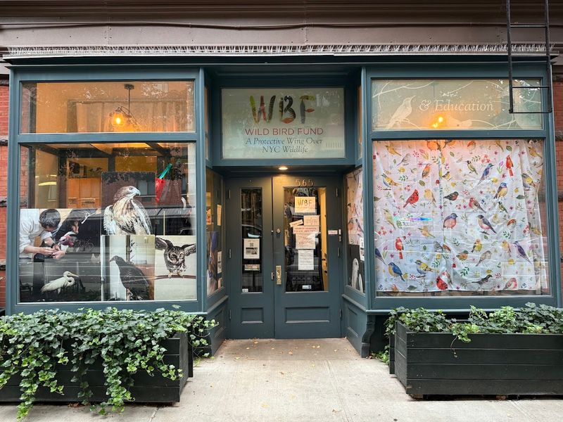 The Columbus Avenue Doorway That Changes the Mood of the Block