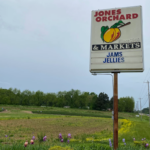 8 Tennessee Farms Where You Can Pick the Juiciest Peaches This Summer