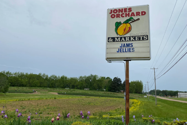 8 Tennessee Farms Where You Can Pick the Juiciest Peaches This Summer