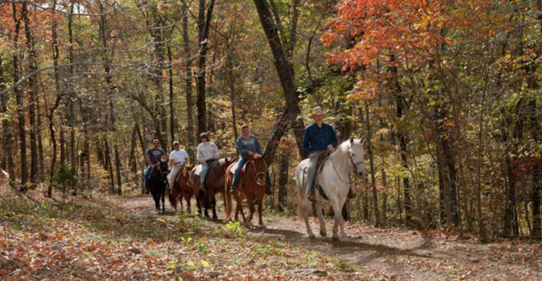 8 Dreamy Places to Ride Horses in Arkansas for Unforgettable Views