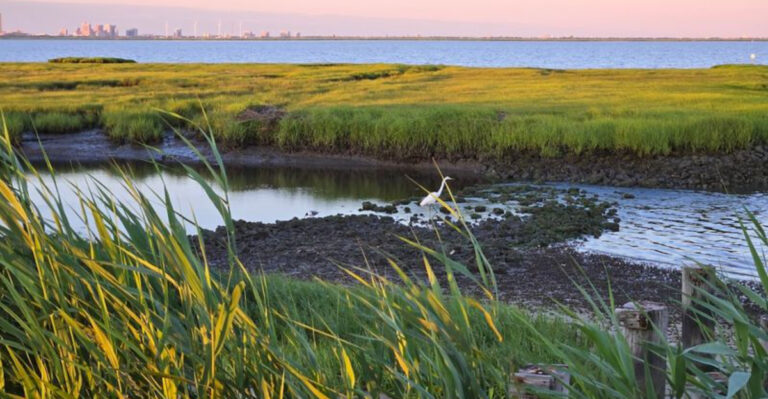 8 Gentle New Jersey Hikes Where Birds, Turtles, And Deer Come Out To Play