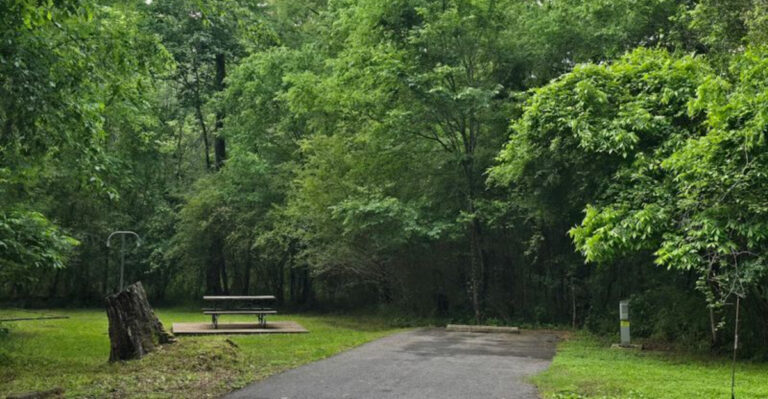 8 Texas Trails Perfect for People Who Don’t Like Tough Hikes