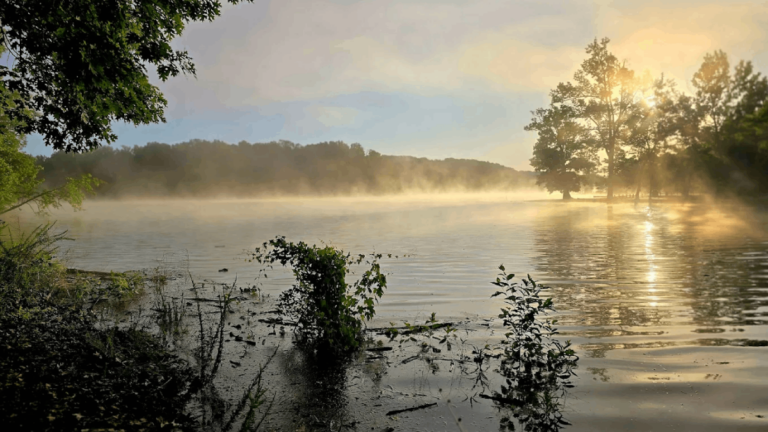 9 Hauntingly Quiet Parks in Tennessee That Feel Almost Abandoned