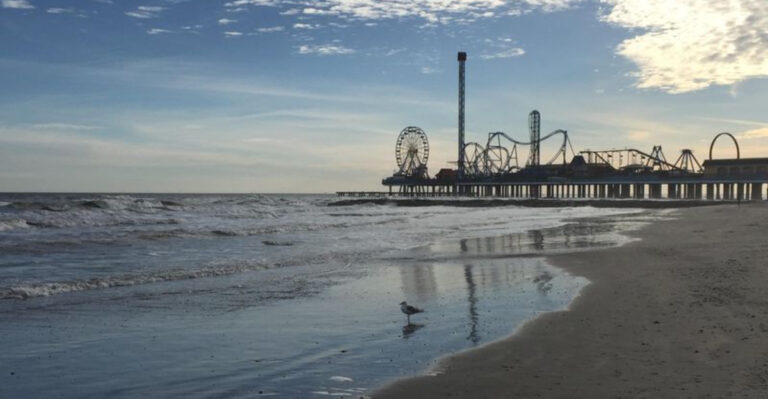 9 Texas Beach Towns With Waterparks, Bird Sanctuaries, And Wild Family Adventures