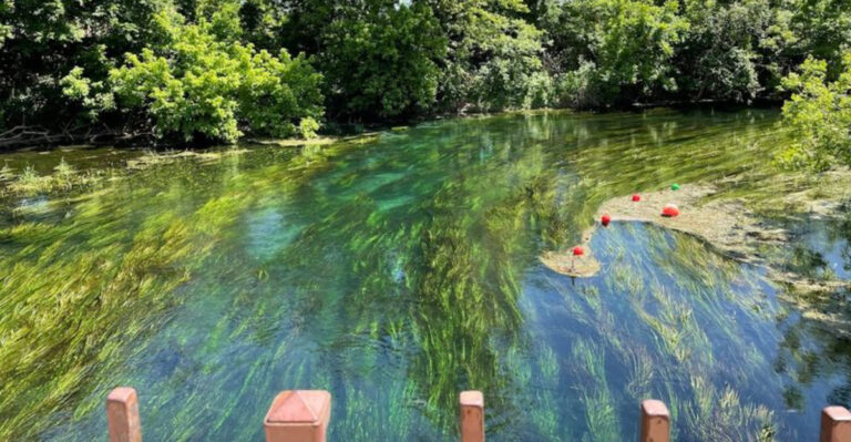 9 Texas River Towns That Have Undergone Incredible Transformations